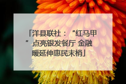 洋县联社：“红马甲”点亮银发餐厅 金融暖延伸惠民末梢