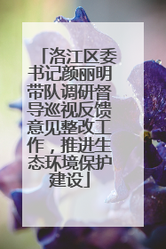 洛江区委书记颜丽明带队调研督导巡视反馈意见整改工作，推进生态环境保护建设