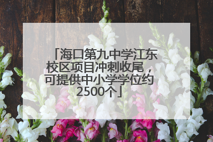 海口第九中学江东校区项目冲刺收尾，可提供中小学学位约2500个