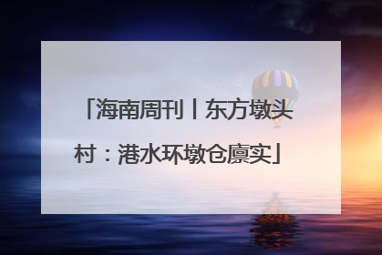 海南周刊丨东方墩头村：港水环墩仓廪实