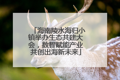 海南陵水海归小镇举办生态共建大会，数智赋能产业共创出海新未来