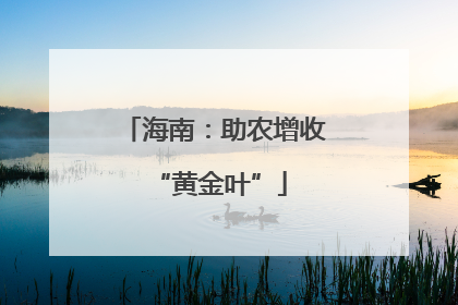 海南：助农增收 “黄金叶”