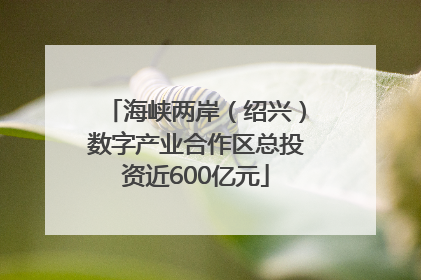 海峡两岸（绍兴）数字产业合作区总投资近600亿元