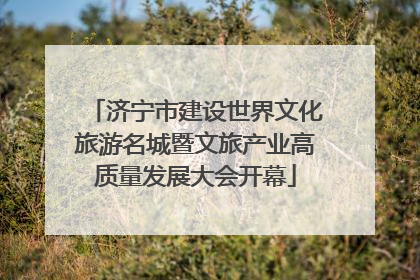 济宁市建设世界文化旅游名城暨文旅产业高质量发展大会开幕