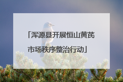 浑源县开展恒山黄芪市场秩序整治行动