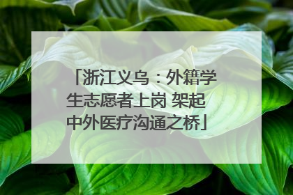 浙江义乌：外籍学生志愿者上岗 架起中外医疗沟通之桥