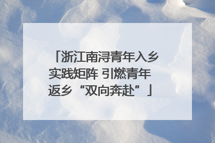 浙江南浔青年入乡实践矩阵 引燃青年返乡“双向奔赴”