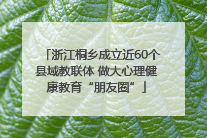 浙江桐乡成立近60个县域教联体 做大心理健康教育“朋友圈”
