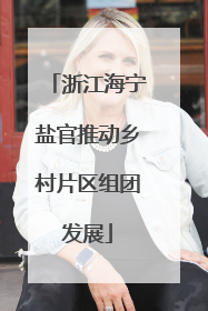浙江海宁盐官推动乡村片区组团发展