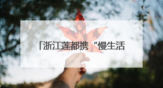 浙江莲都携“慢生活”亮相长沙 双城共绘文旅合作新图景