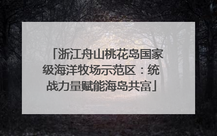 浙江舟山桃花岛国家级海洋牧场示范区：统战力量赋能海岛共富