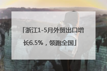 浙江1-5月外贸出口增长6.5%，领跑全国