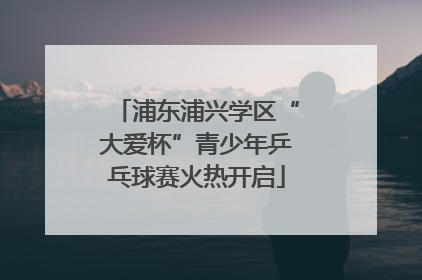 浦东浦兴学区“大爱杯”青少年乒乓球赛火热开启