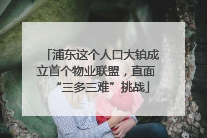 浦东这个人口大镇成立首个物业联盟，直面“三多三难”挑战