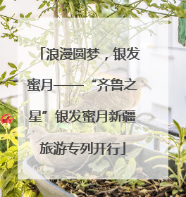 浪漫圆梦，银发蜜月——“齐鲁之星”银发蜜月新疆旅游专列开行