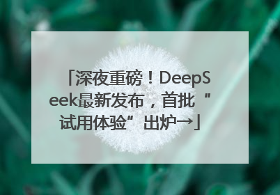 深夜重磅！DeepSeek最新发布，首批“试用体验”出炉→