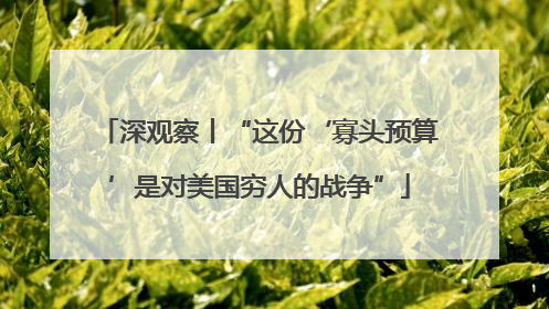 深观察丨“这份‘寡头预算’是对美国穷人的战争”