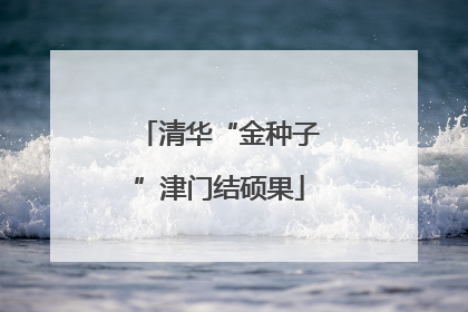 清华“金种子”津门结硕果