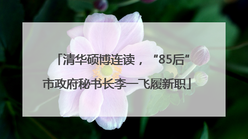 清华硕博连读，“85后”市政府秘书长李一飞履新职