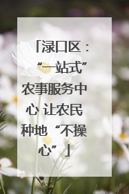 渌口区：“一站式”农事服务中心 让农民种地“不操心”
