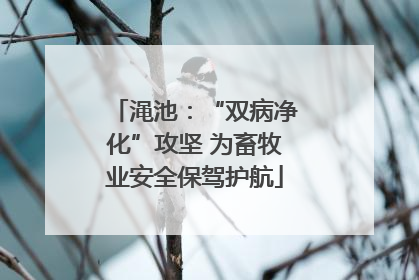 渑池：“双病净化”攻坚 为畜牧业安全保驾护航