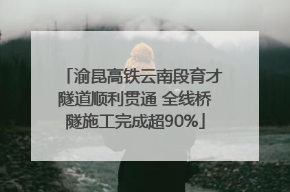 渝昆高铁云南段育才隧道顺利贯通 全线桥隧施工完成超90%