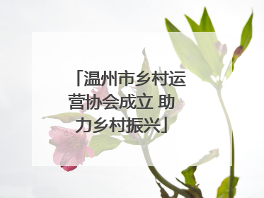 温州市乡村运营协会成立 助力乡村振兴