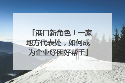 港口新角色！一家地方代表处，如何成为企业纾困好帮手