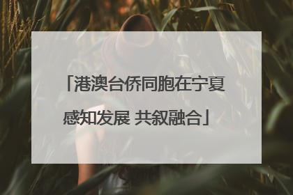 港澳台侨同胞在宁夏感知发展 共叙融合