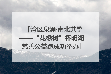 湾区泉涌·南北共擎——“花楸树”杯明湖慈善公益跑成功举办