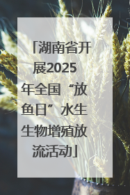 湖南省开展2025年全国“放鱼日”水生生物增殖放流活动