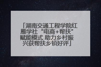 湖南交通工程学院红雁学社“电商+帮扶”赋能模式 助力乡村振兴获帮扶乡镇好评