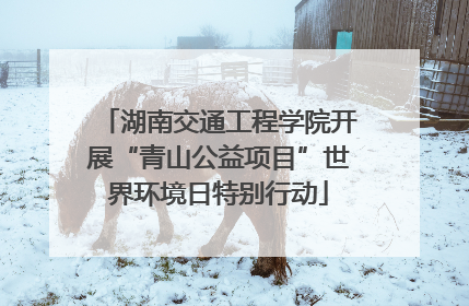 湖南交通工程学院开展“青山公益项目”世界环境日特别行动
