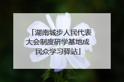湖南城步人民代表大会制度研学基地成民众学习驿站
