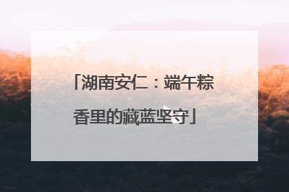 湖南安仁：端午粽香里的藏蓝坚守