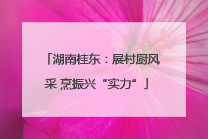 湖南桂东：展村厨风采 烹振兴“实力”