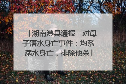 湖南澧县通报一对母子落水身亡事件：均系溺水身亡，排除他杀