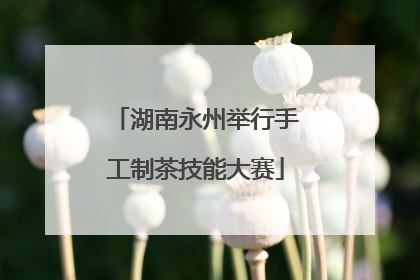 湖南永州举行手工制茶技能大赛