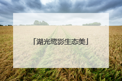 湖光鹭影生态美