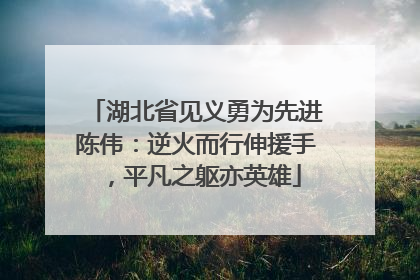 湖北省见义勇为先进陈伟：逆火而行伸援手，平凡之躯亦英雄