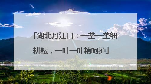 湖北丹江口：一垄一垄细耕耘，一叶一叶精呵护