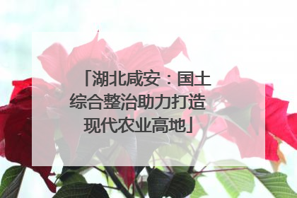 湖北咸安：国土综合整治助力打造现代农业高地