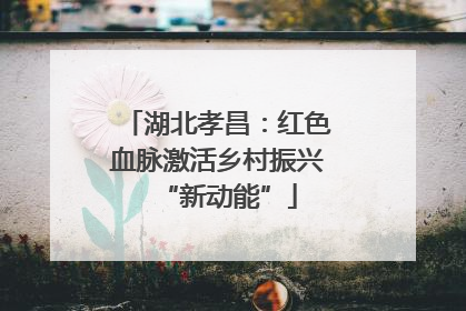 湖北孝昌：红色血脉激活乡村振兴“新动能”