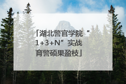 湖北警官学院“1+3+N”实战育警硕果盈枝