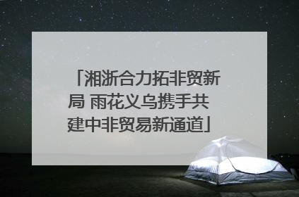 湘浙合力拓非贸新局 雨花义乌携手共建中非贸易新通道