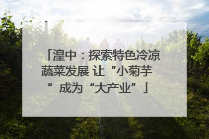 湟中：探索特色冷凉蔬菜发展 让“小菊芋”成为“大产业”