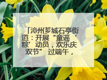 漳州芗城石亭街道：开展“童谣‘粽’动员，欢乐庆双节” 过端午，庆六一活动