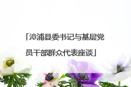 漳浦县委书记与基层党员干部群众代表座谈