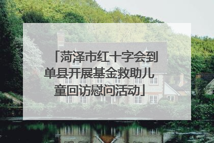 菏泽市红十字会到单县开展基金救助儿童回访慰问活动