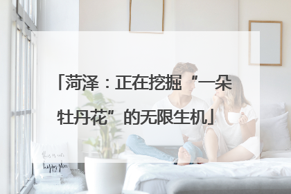 菏泽：正在挖掘“一朵牡丹花”的无限生机